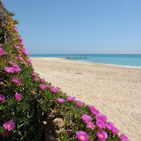 Corso Barocco Luxury & Suites Apartment